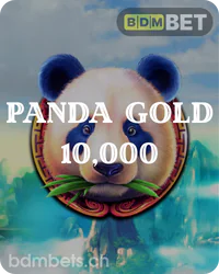 Panda Gold carte à gratter 10k